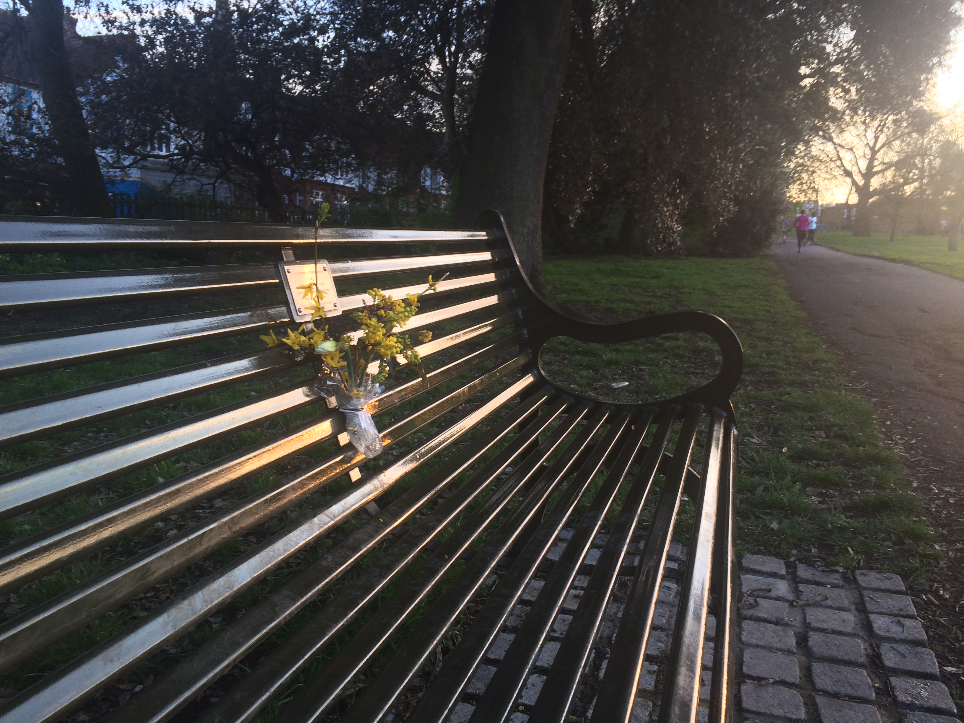 Memorial bench in Brockwell Park