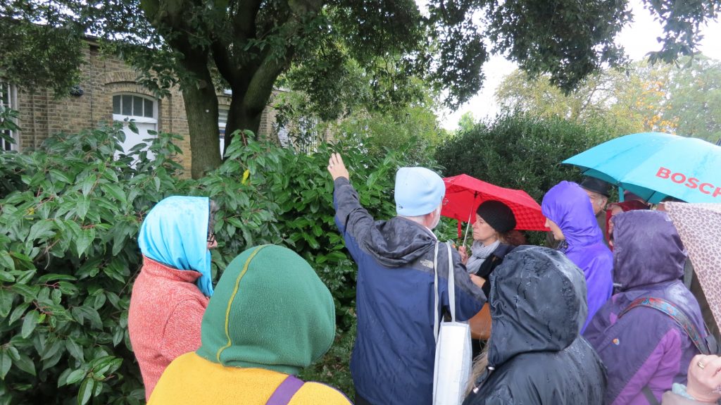 Volunteers in Brockwell Park