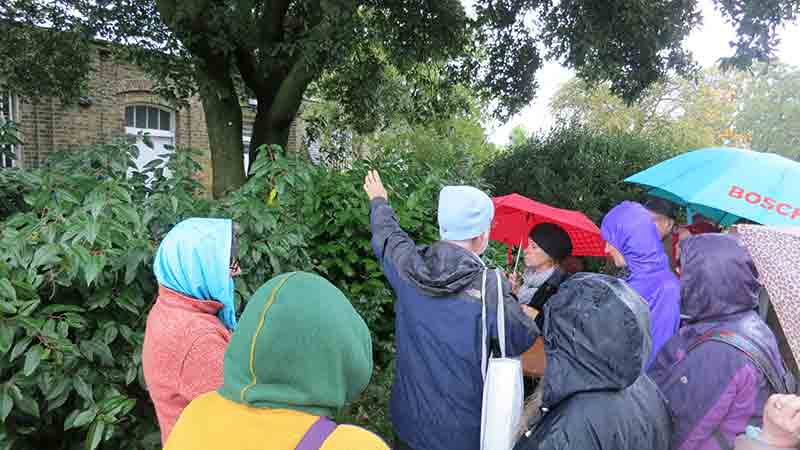 Brockwell Park Walks